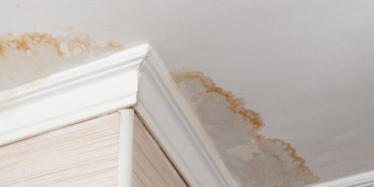 moisissure sur plafond dû à une fuite d'eau invisible