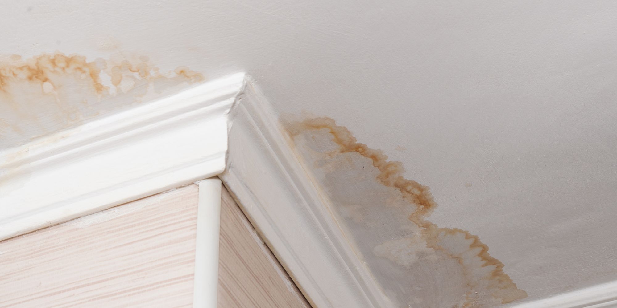 moisissure sur plafond dû à une fuite d'eau invisible